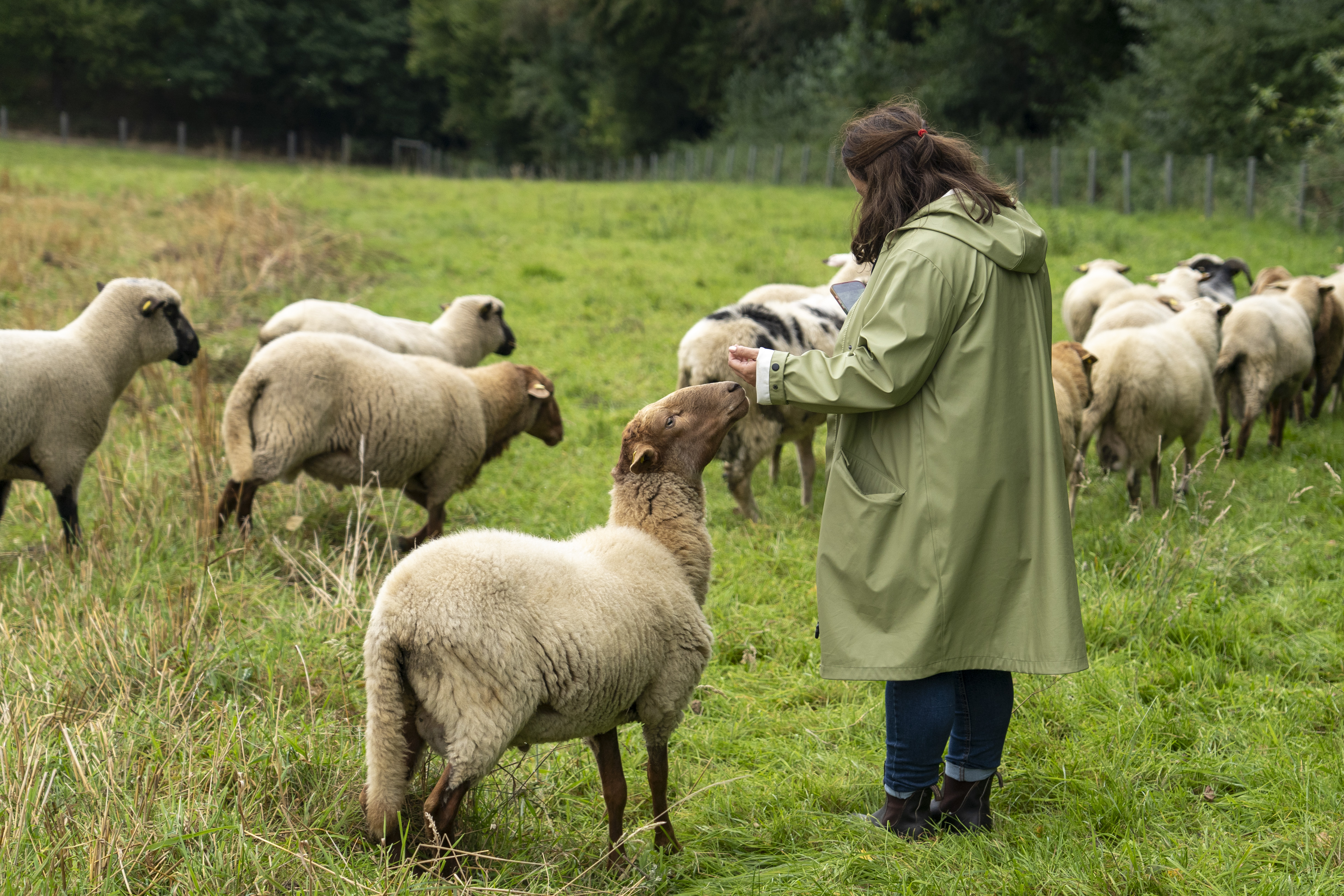 Eine Frau streichelt ein Schaf