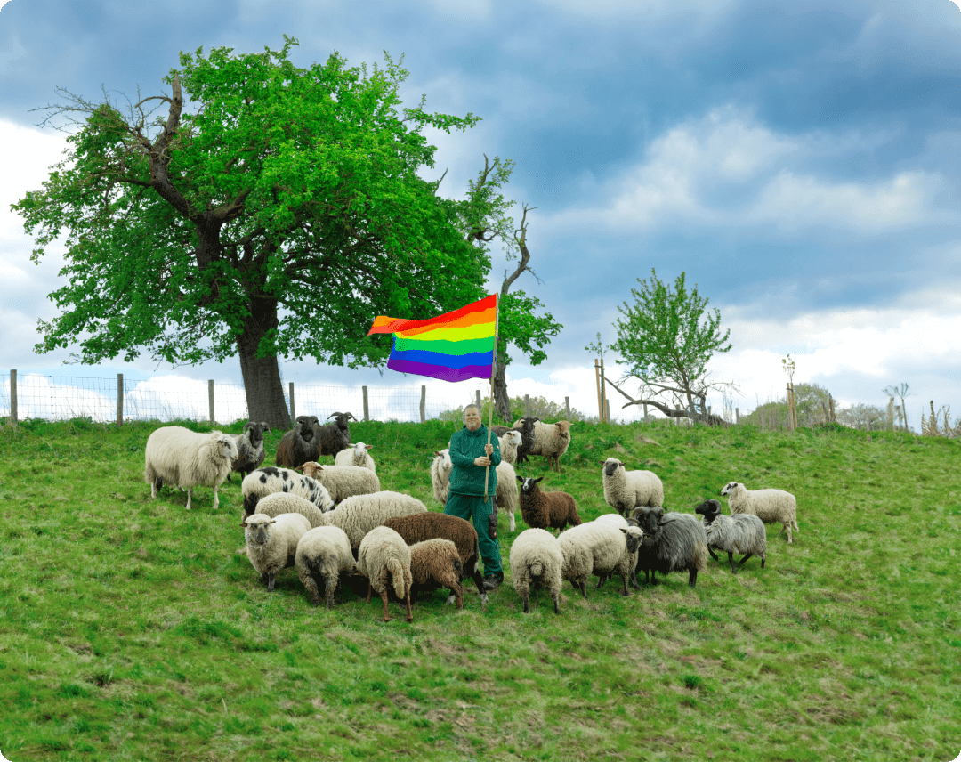 Schafherde auf einer grünen Wiese mit dem Schäfer der eine Regenbogenflagge hält. 