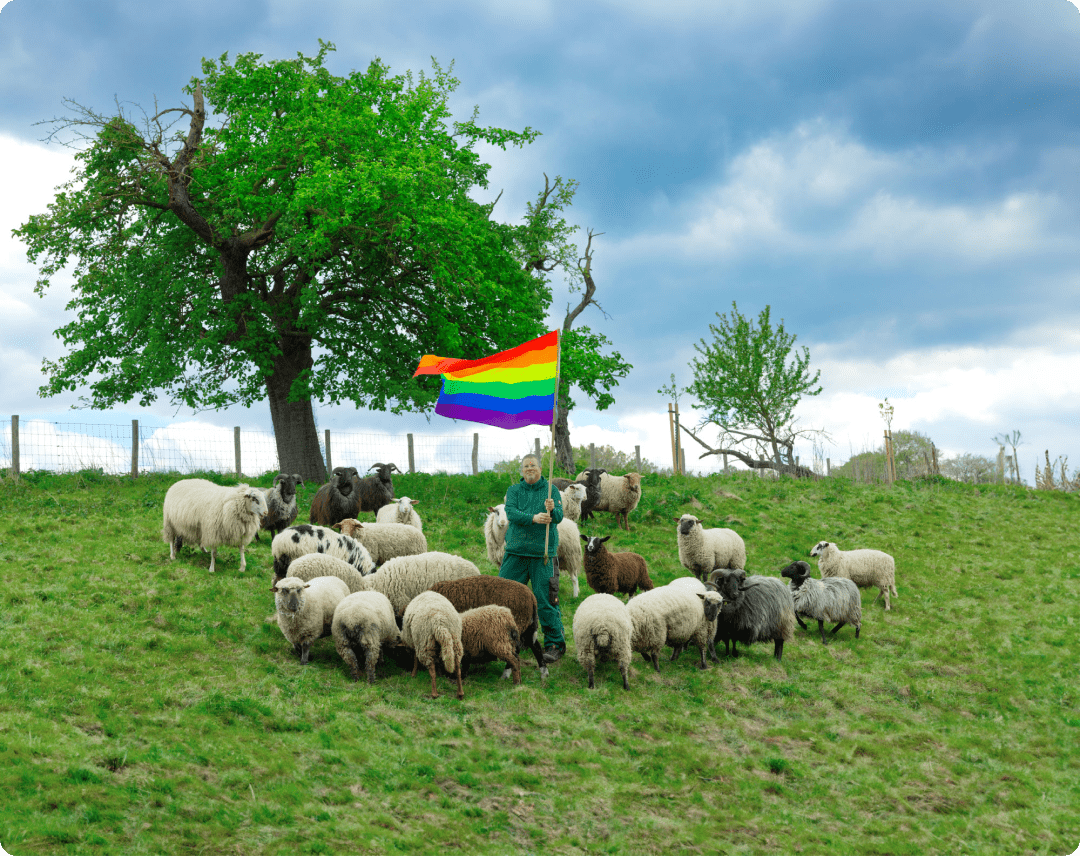  A flock of gay sheep and their gay farmer with a rainbow wool flag.